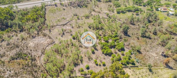 17110m² Land in Mangualde, Portugal No. 63923 8