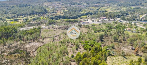 17110m² Land in Mangualde, Portugal No. 63923 9