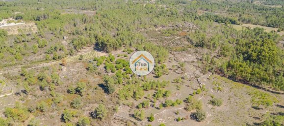 17110m² Land in Mangualde, Portugal No. 63923 5