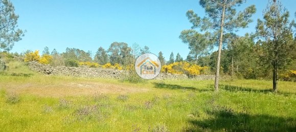 17110m² Land in Mangualde, Portugal No. 63923 18