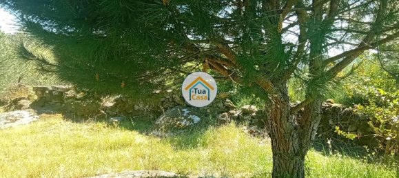 17110m² Land in Mangualde, Portugal No. 63923 33