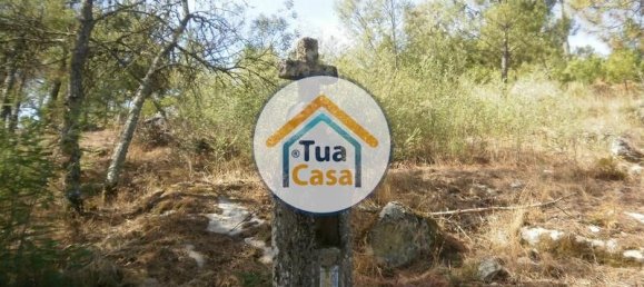 17110m² Land in Mangualde, Portugal No. 63923 16