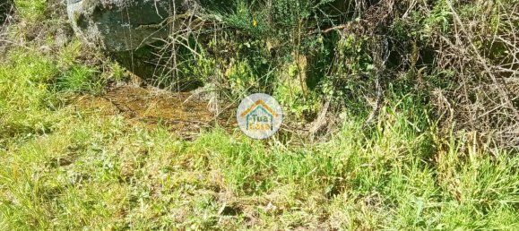 17110m² Land in Mangualde, Portugal No. 63923 23