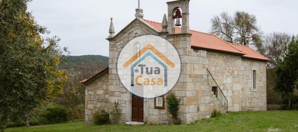 17110m² Land in Mangualde, Portugal No. 63923 11