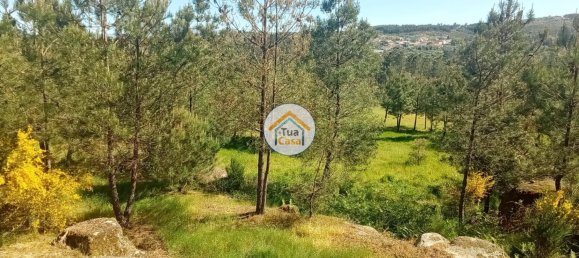 17110m² Land in Mangualde, Portugal No. 63923 30