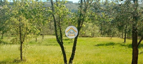 17110m² Land in Mangualde, Portugal No. 63923 24