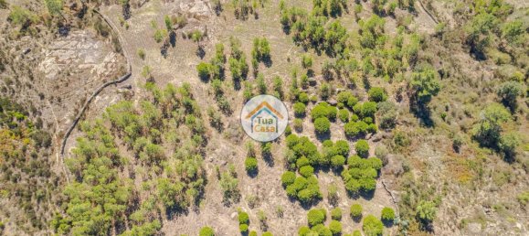 17110m² Land in Mangualde, Portugal No. 63923 3