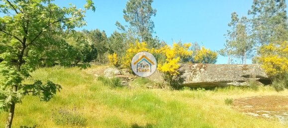 17110m² Land in Mangualde, Portugal No. 63923 19