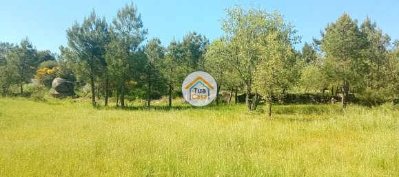 17110m² Land in Mangualde, Portugal No. 63923 20