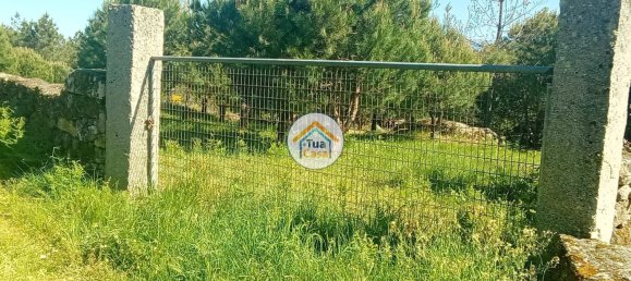 17110m² Land in Mangualde, Portugal No. 63923 37