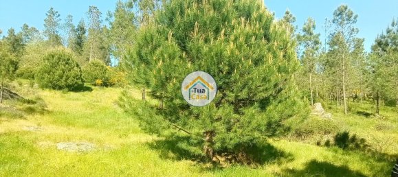 17110m² Land in Mangualde, Portugal No. 63923 29