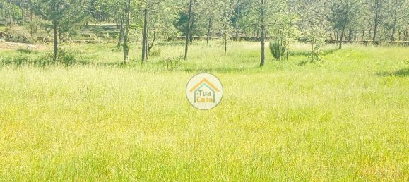 17110m² Land in Mangualde, Portugal No. 63923 22