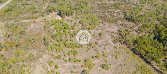 17110m² Land in Mangualde, Portugal No. 63923 6