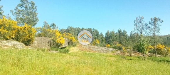 17110m² Land in Mangualde, Portugal No. 63923 21