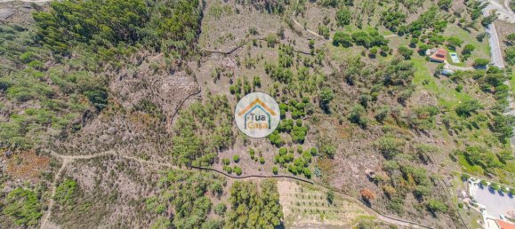 17110m² Land in Mangualde, Portugal No. 63923 4