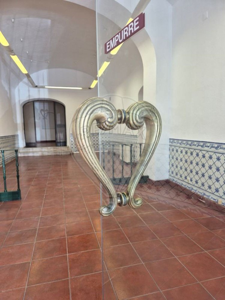 169m² Commercial property in Evora, Portugal No. 304855