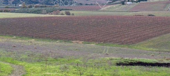 4 غرف نوم قلاع في Castel del Piano, Italy رقم 45622 9