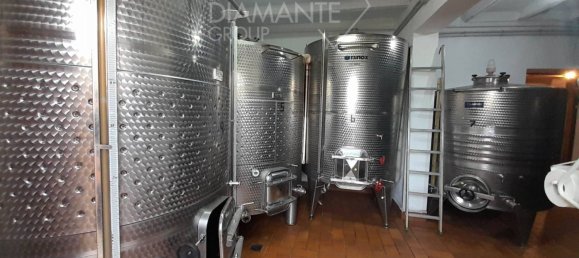 4 غرف نوم قلاع في Castel del Piano, Italy رقم 45622 19