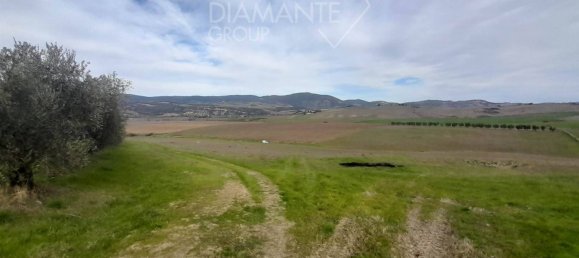 4 غرف نوم قلاع في Castel del Piano, Italy رقم 45622 16