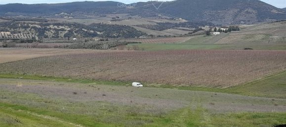 4 غرف نوم قلاع في Castel del Piano, Italy رقم 45622 15