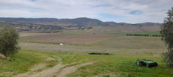 4 غرف نوم قلاع في Castel del Piano, Italy رقم 45622 14