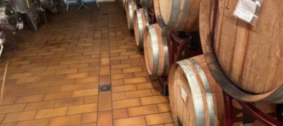 4 غرف نوم قلاع في Castel del Piano, Italy رقم 45622 46