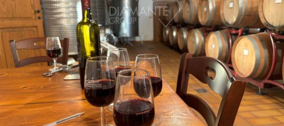 4 غرف نوم قلاع في Castel del Piano, Italy رقم 45622 45