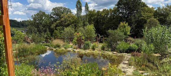 2 rooms Bungalow in Gussing, Austria No. 224874 16