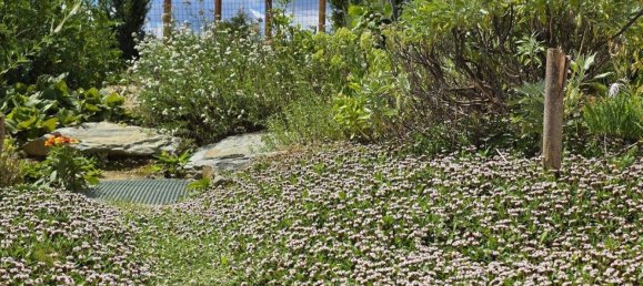 2 rooms Bungalow in Gussing, Austria No. 224874 15