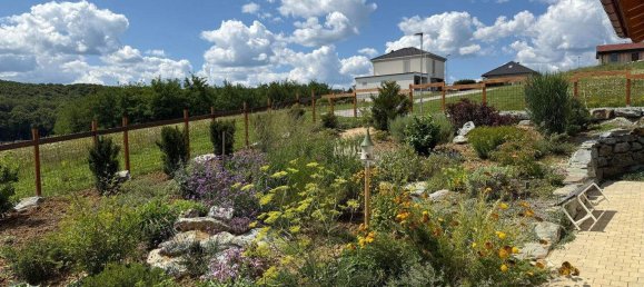 2 rooms Bungalow in Gussing, Austria No. 224874 20