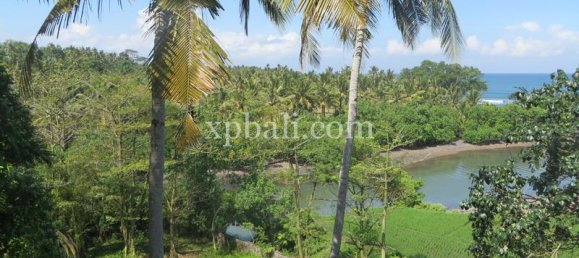 قطعة أرض في Negara, Indonesia 9335متر مربع رقم 4481 7