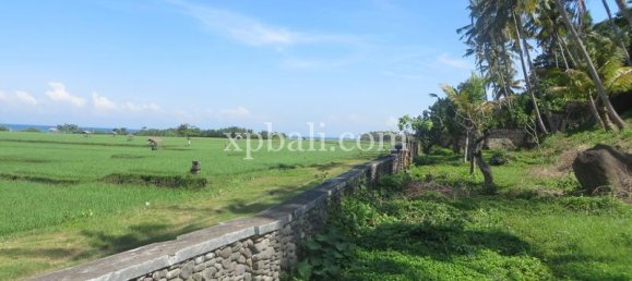 قطعة أرض في Negara, Indonesia 9335متر مربع رقم 4481 3