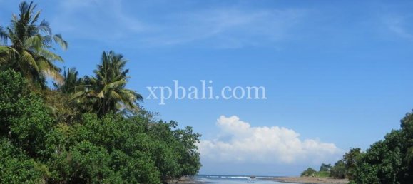 قطعة أرض في Negara, Indonesia 9335متر مربع رقم 4481 6