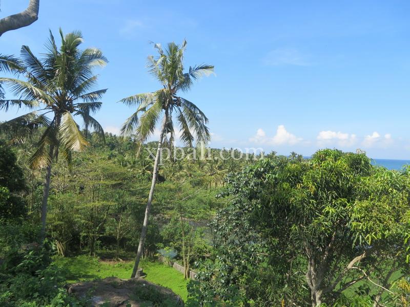  قطعة أرض في Negara, Indonesia 9335متر مربع رقم 4481