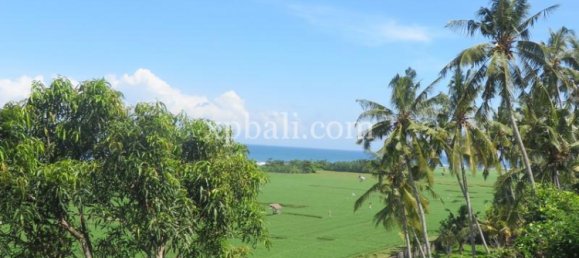 قطعة أرض في Negara, Indonesia 9335متر مربع رقم 4481 8