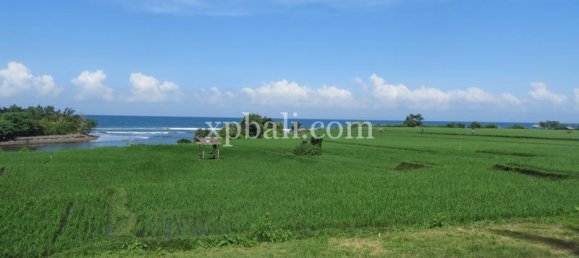 قطعة أرض في Negara, Indonesia 9335متر مربع رقم 4481 2