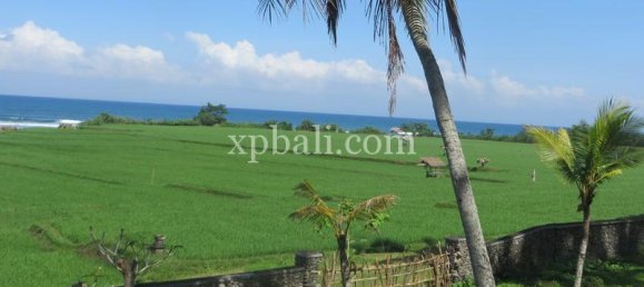 قطعة أرض في Negara, Indonesia 9335متر مربع رقم 4481 4