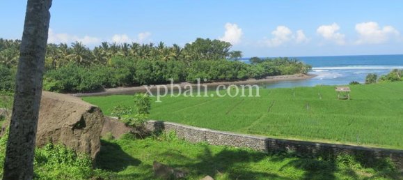 قطعة أرض في Negara, Indonesia 9335متر مربع رقم 4481 5