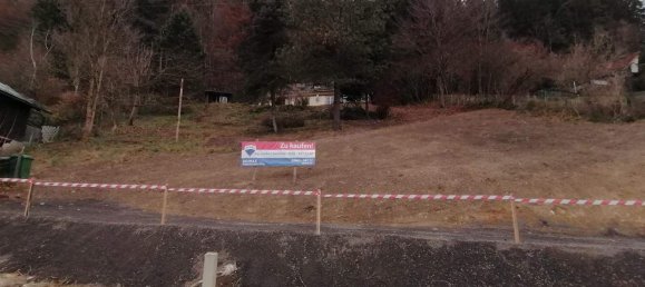 Grundstück in Mürzzuschlag, Austria, Nr. 79133 7