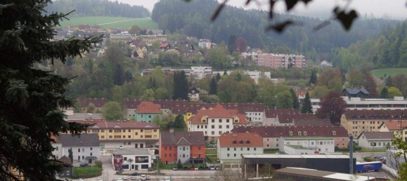 Grundstück in Mürzzuschlag, Austria, Nr. 79133 13