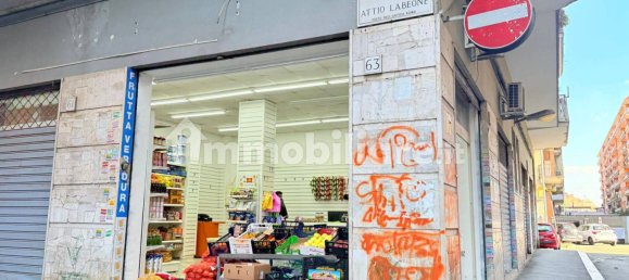 1 room Commercial property in Rome, Italy No. 264247 14