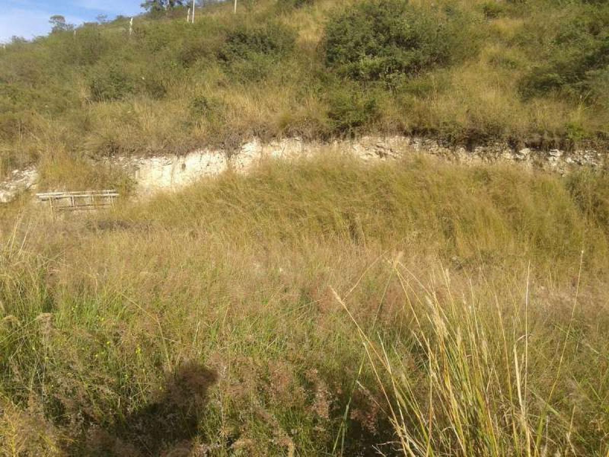 Grundstück in Cordoba, Argentina, Nr. 35488