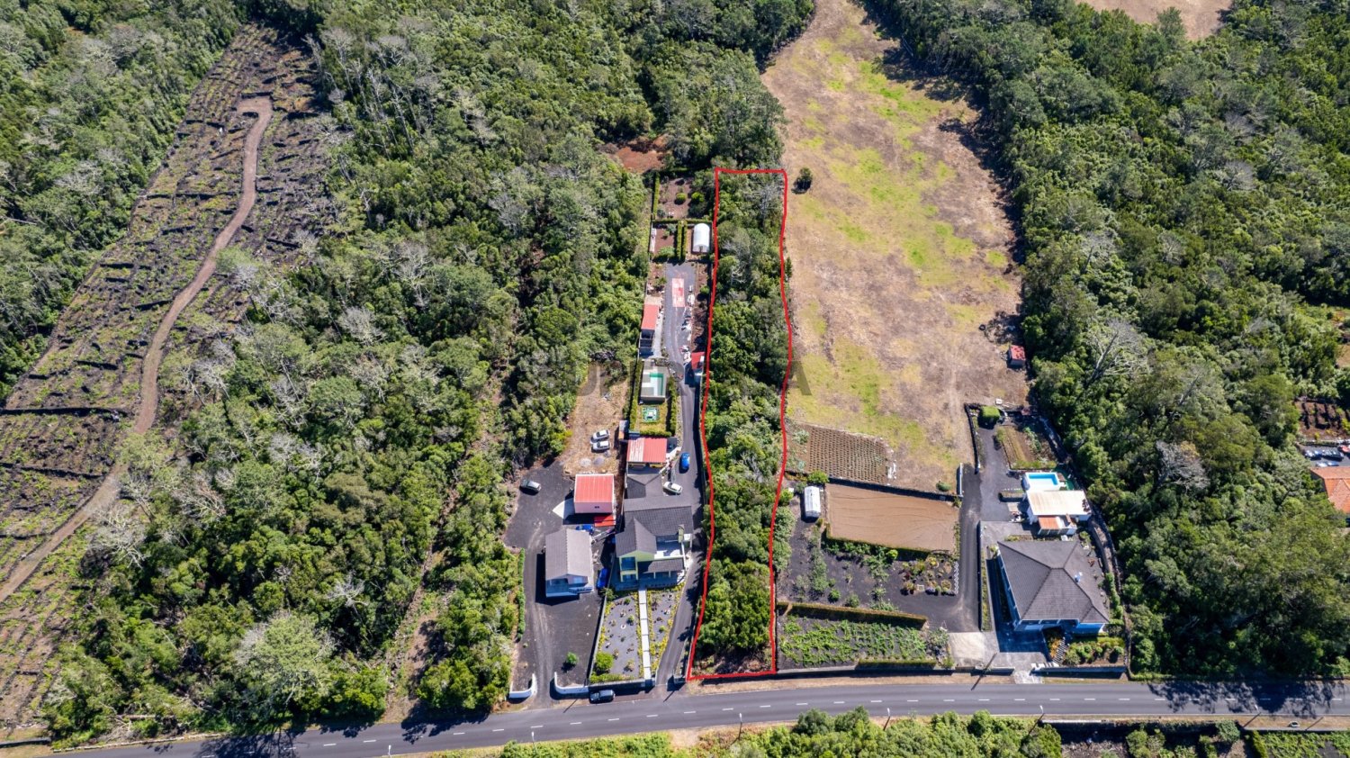  Land in Madalena, Portugal No. 229130