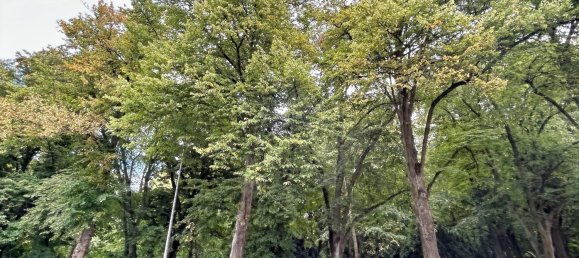 2 chambres Appartement à Rostock, Germany No. 351751 23