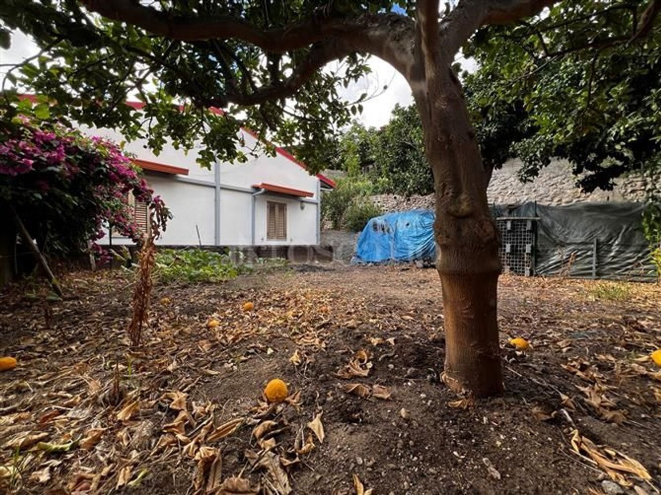 6-Zimmer Villa in Calanna, Italy, Nr. 284039