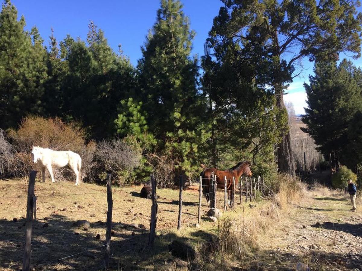 Земельный участок в Чубут, Аргентина № 42507