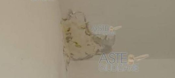 2 غرف نوم شقة في Riccione, Italy رقم 11417 36