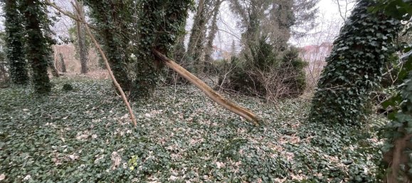 Grundstück in Werra-Meißner, Germany, Nr. 182546 9