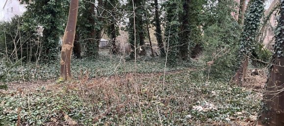 Grundstück in Werra-Meißner, Germany, Nr. 182546 11