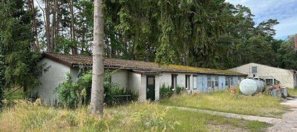 Propriété commerciale à Prignitz, Germany 900m² No. 44660 2